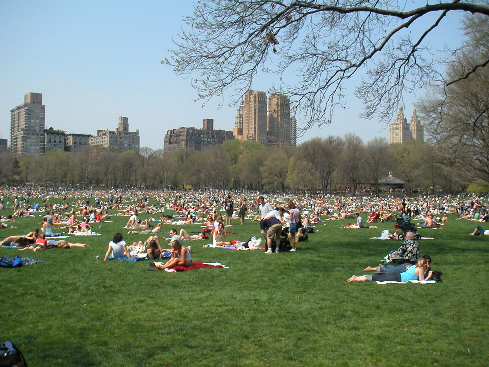 schola-idiomas-central-park