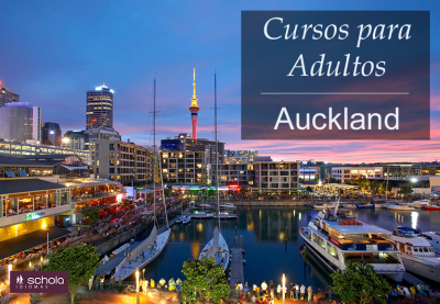 Cursos para Adultos – Auckland